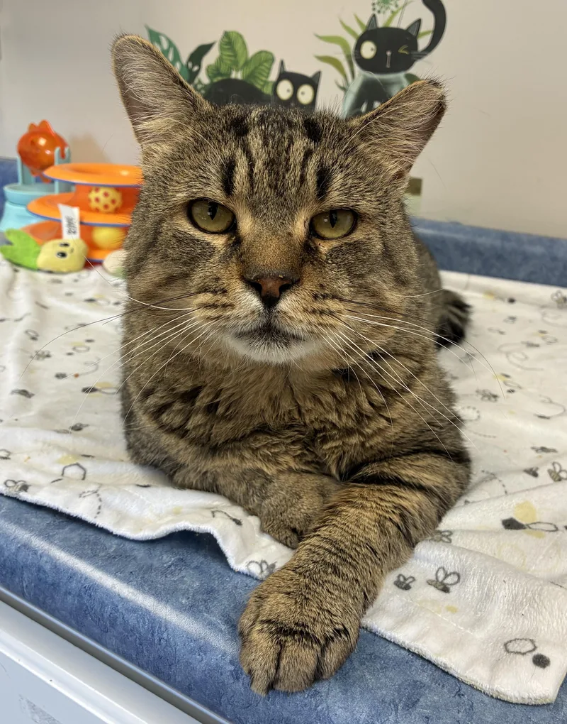 Wreckitralph thumbnail 2