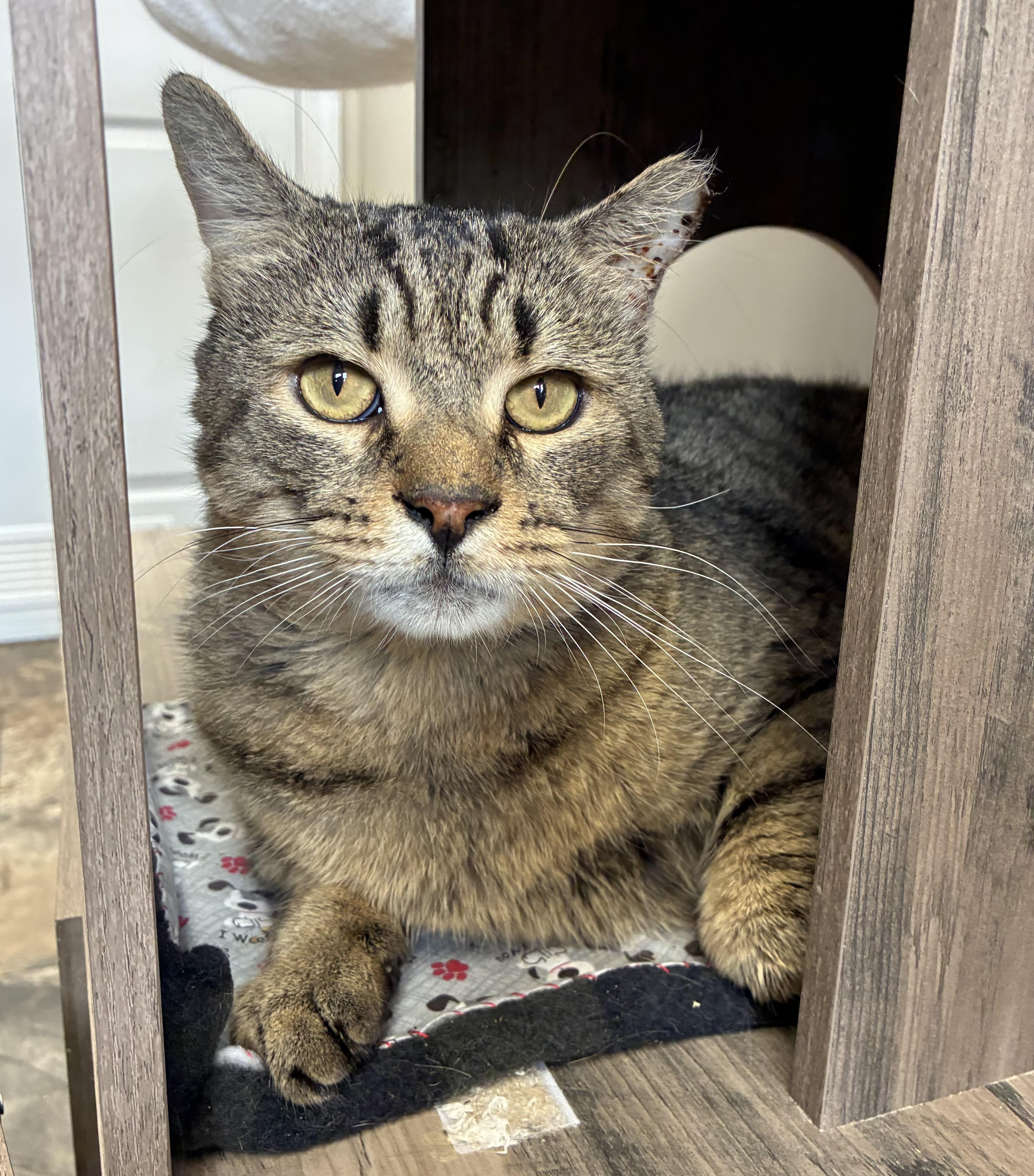 Wreckitralph thumbnail 3