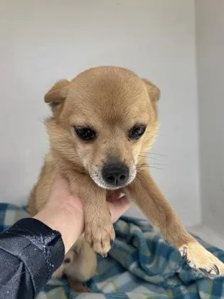 60650229 thumbnail 2