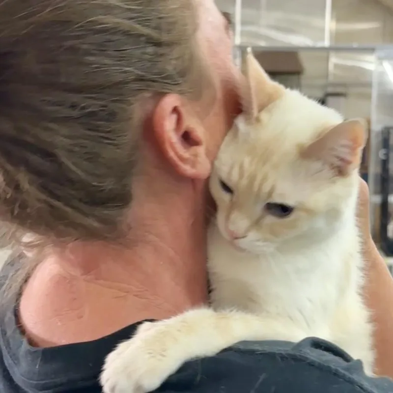 Handsome thumbnail 4