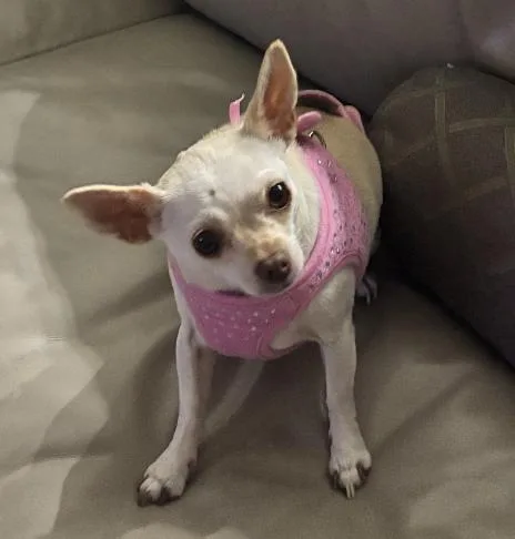 Missy thumbnail 3