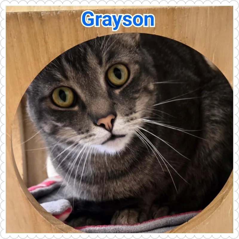 Grayson