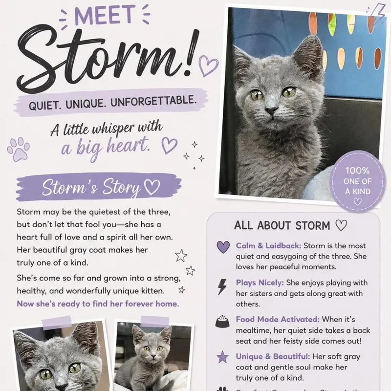 Storm thumbnail 3