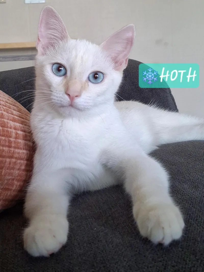 Hoth thumbnail 6