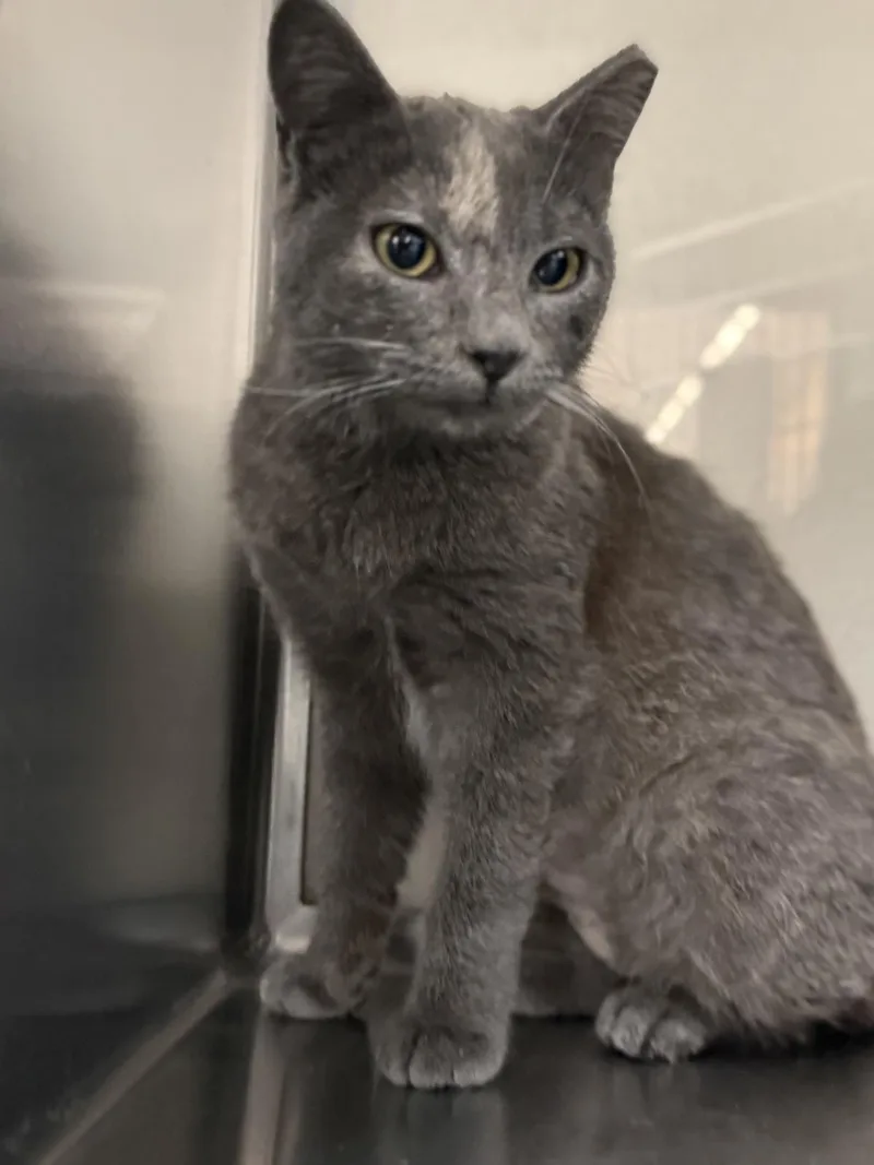 Theresa Linde thumbnail 3