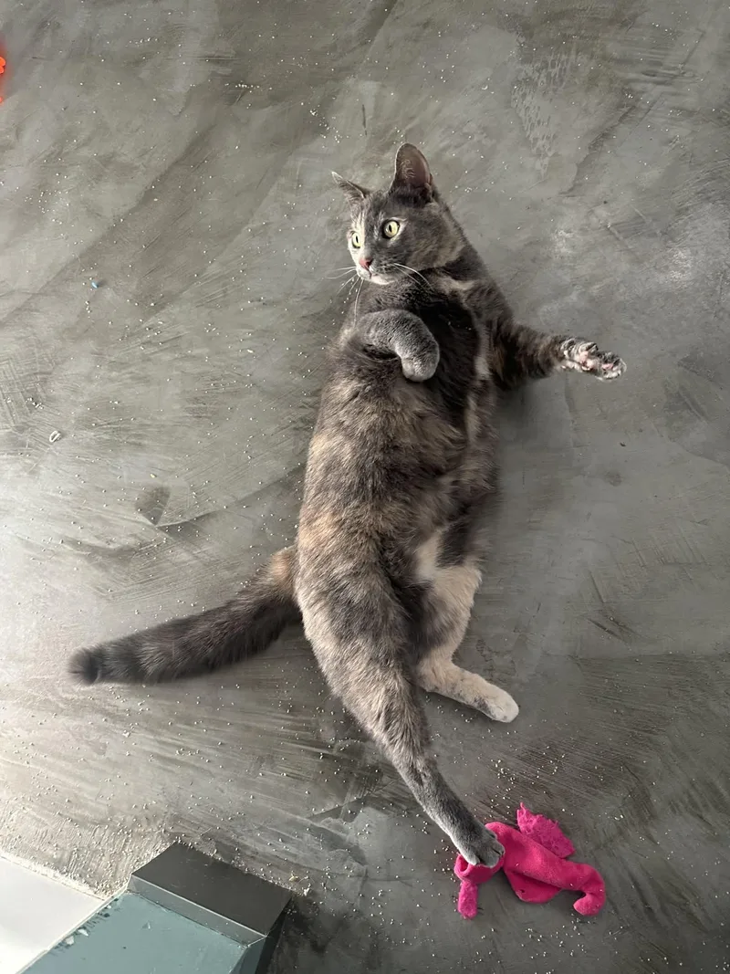 My Sharona thumbnail 2