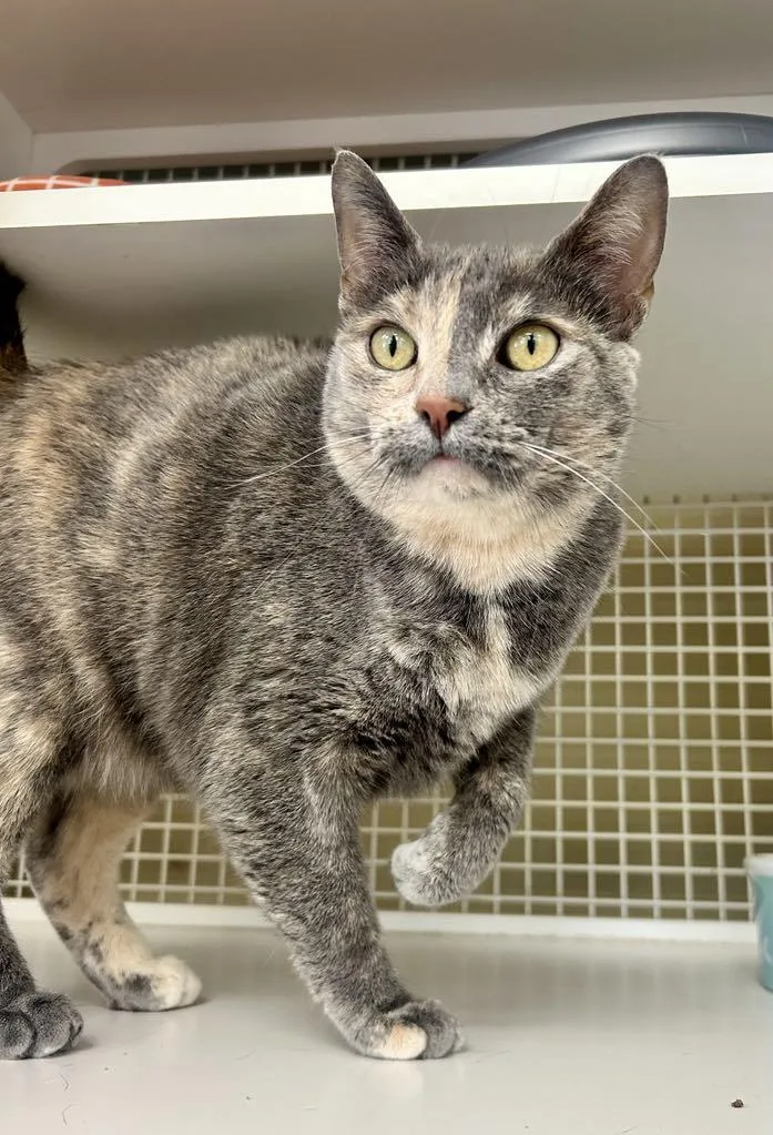 My Sharona thumbnail 3