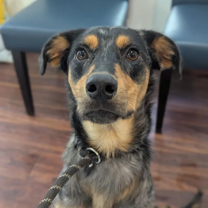 Miley Cyrus thumbnail 2