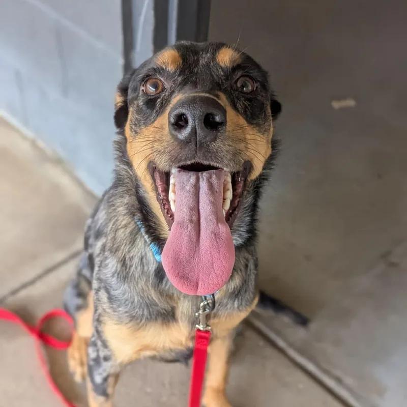 Miley Cyrus thumbnail 3