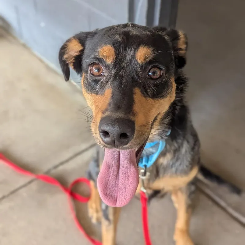 Miley Cyrus thumbnail 4