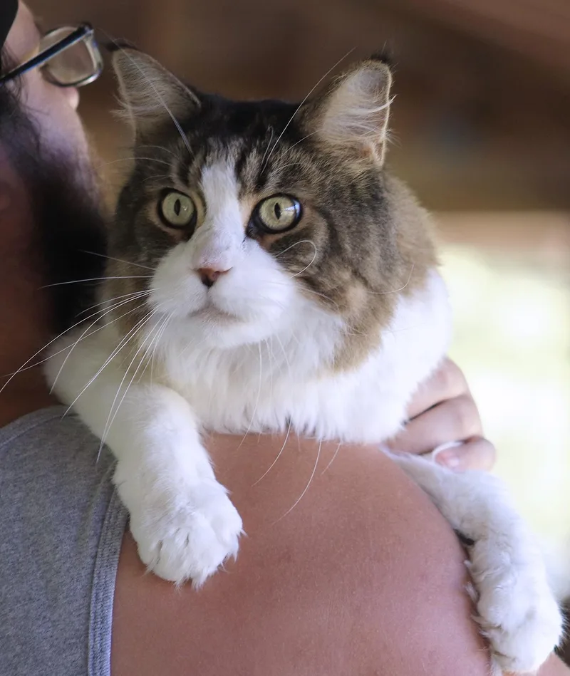 Scotty thumbnail 2