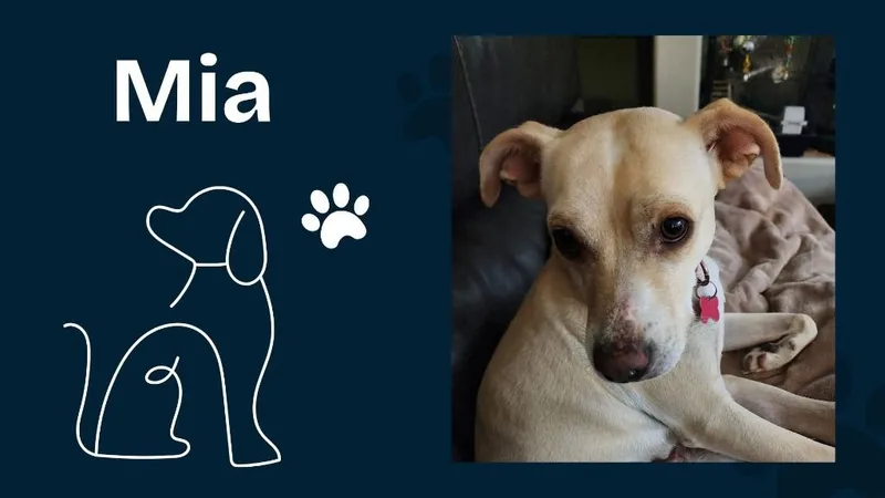 Mia thumbnail 3