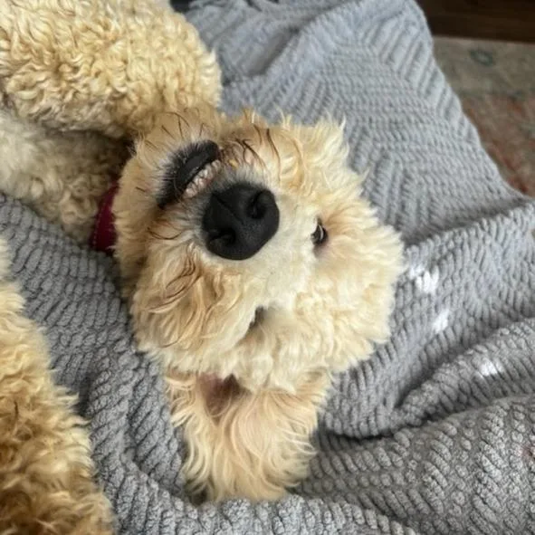 Debra thumbnail 5