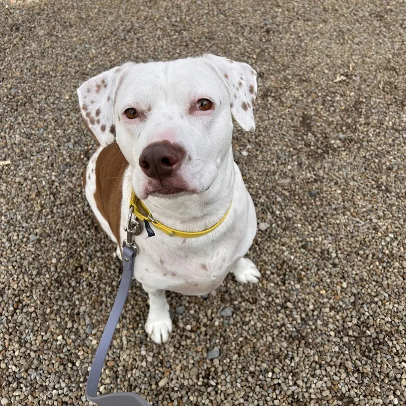 Brighton thumbnail 2