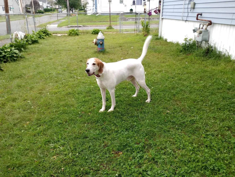 Winchester thumbnail 2