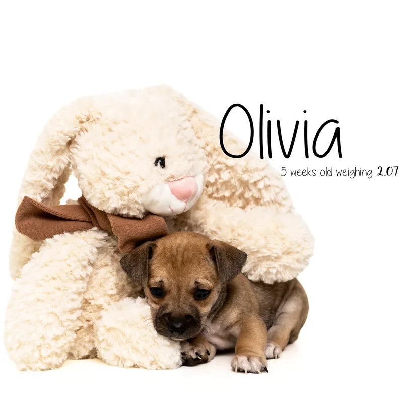Olivia