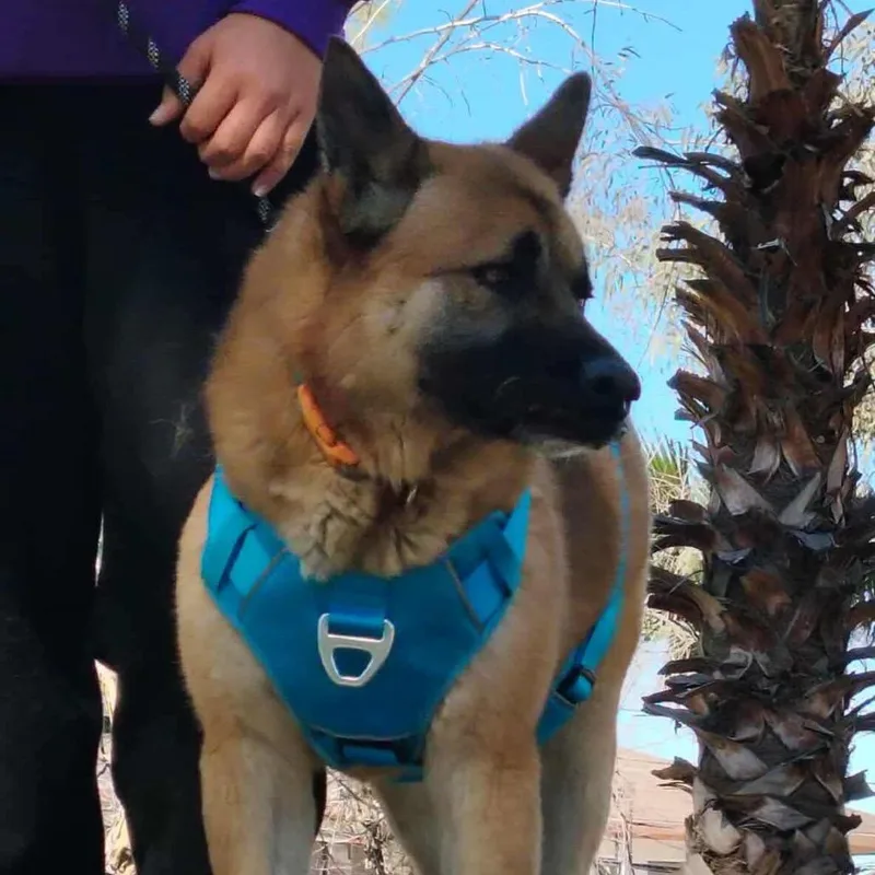 Maverick thumbnail 3