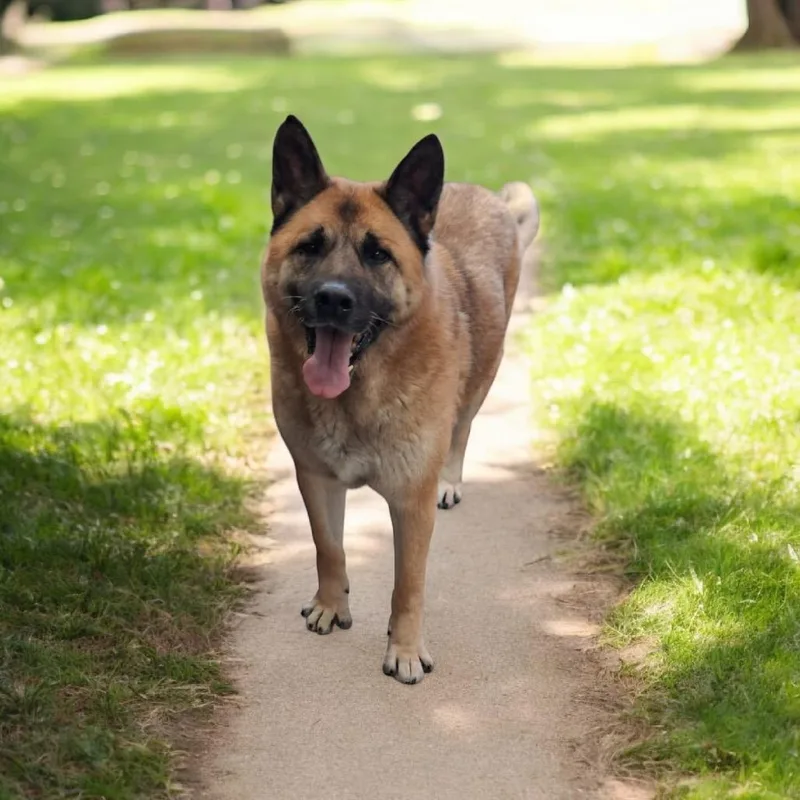 Maverick thumbnail 5