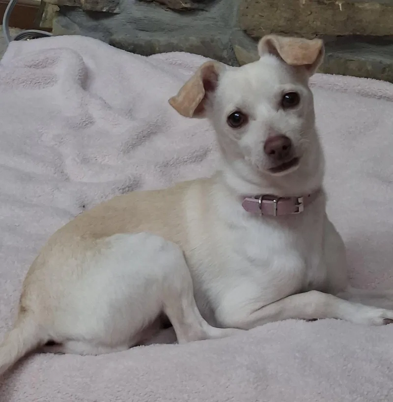 Delilah Belle thumbnail 2
