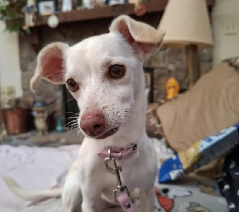 Delilah Belle thumbnail 3