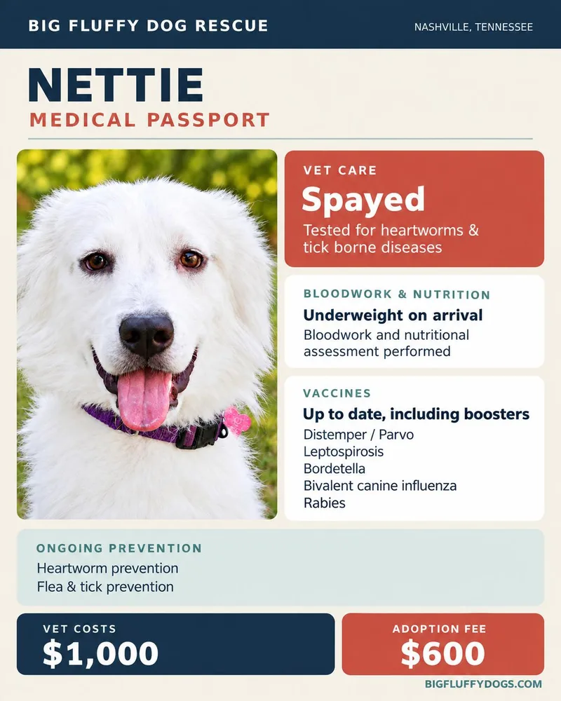 Nettie thumbnail 4
