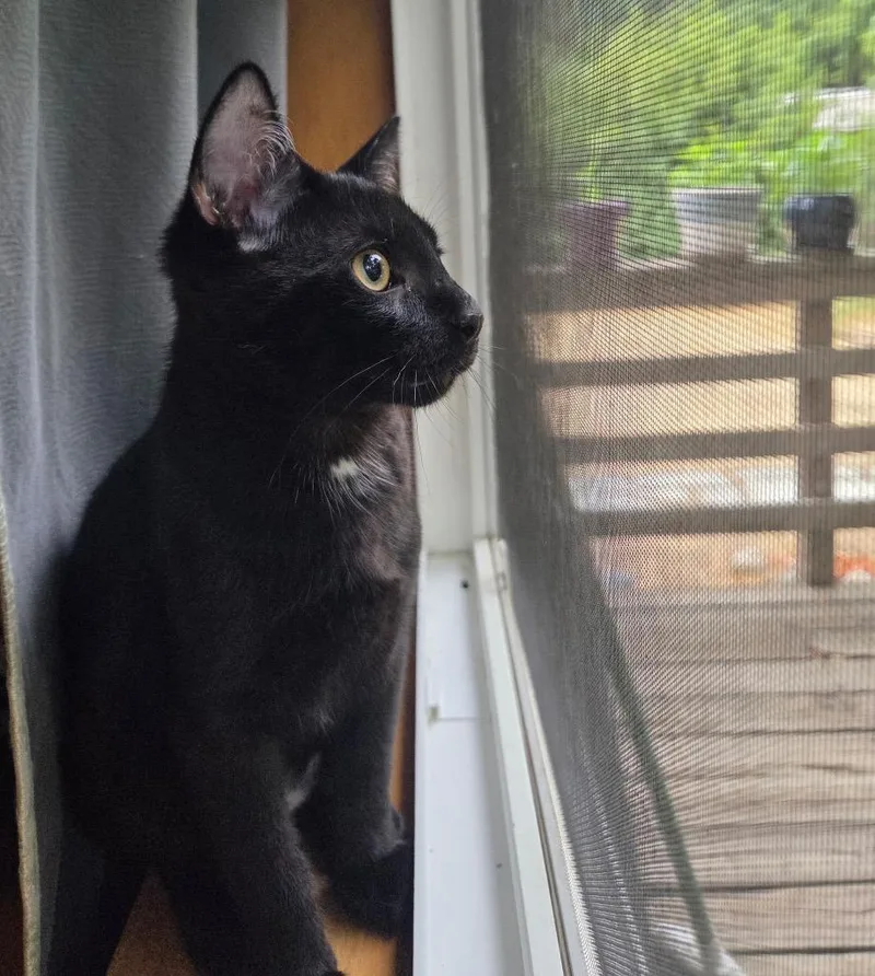 Jim