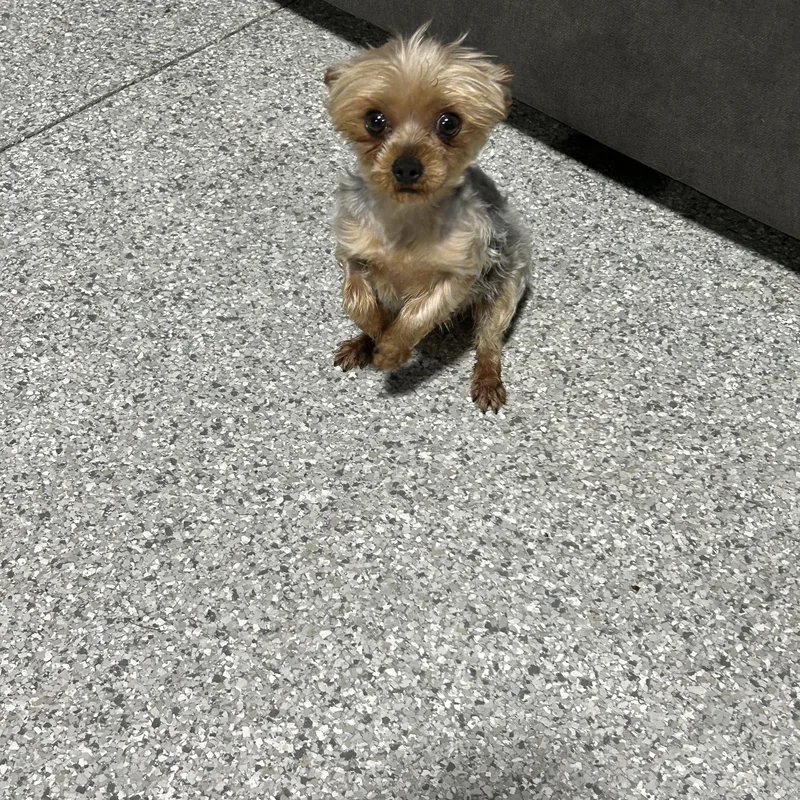 Bonnie . Lbs thumbnail 2