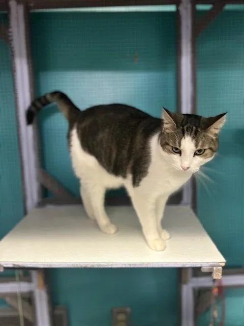 Kaa Fee Sponsored By thumbnail 4