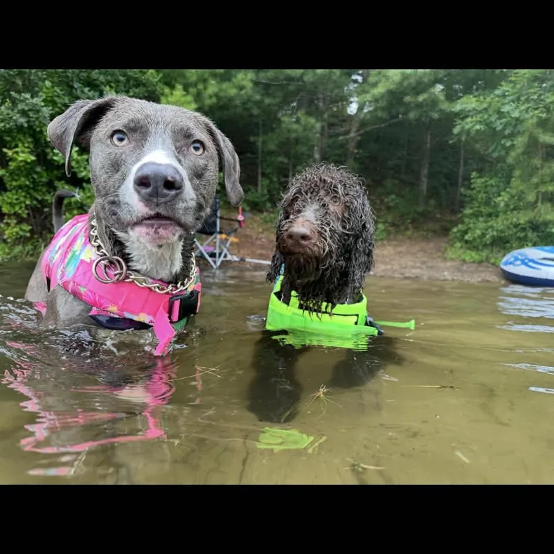 Bonded Pair Gia & thumbnail 4