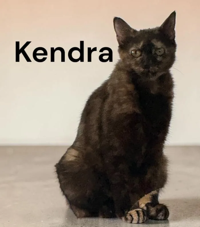 Kendra thumbnail 2