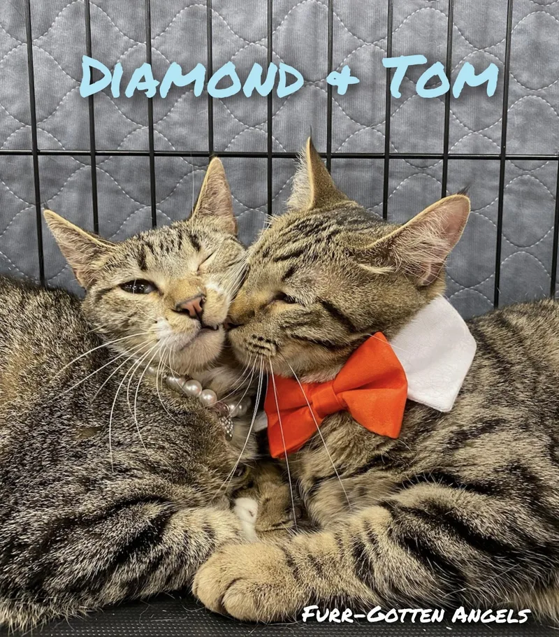 Diamond thumbnail 4