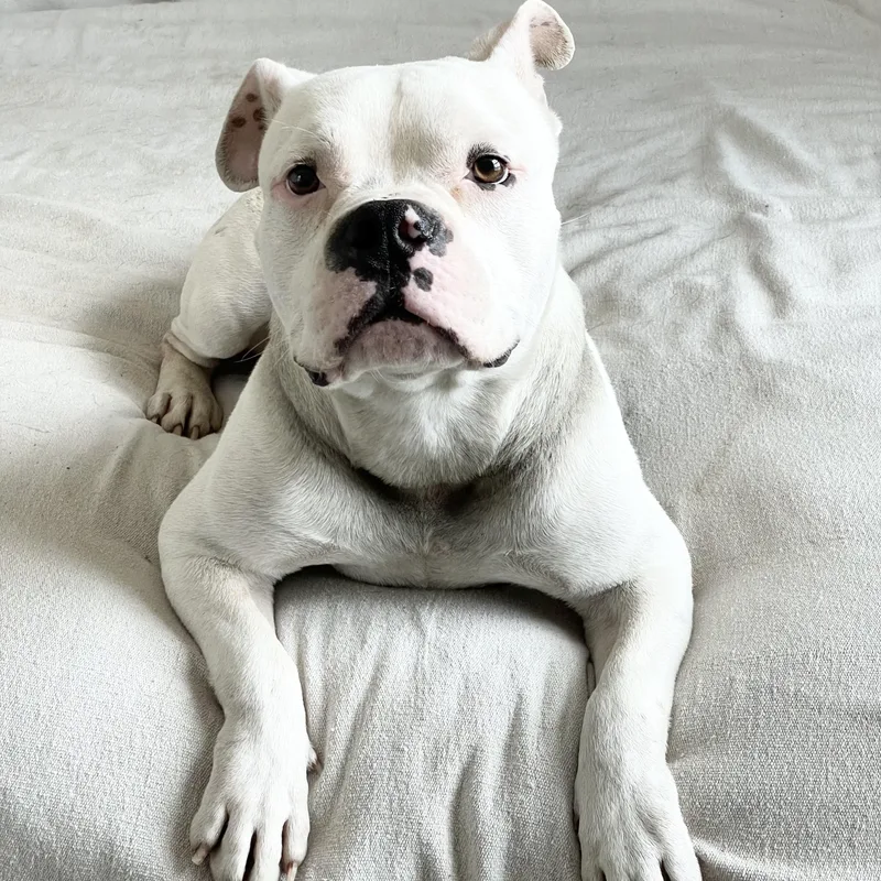 Mushy Sweet Ty thumbnail 2