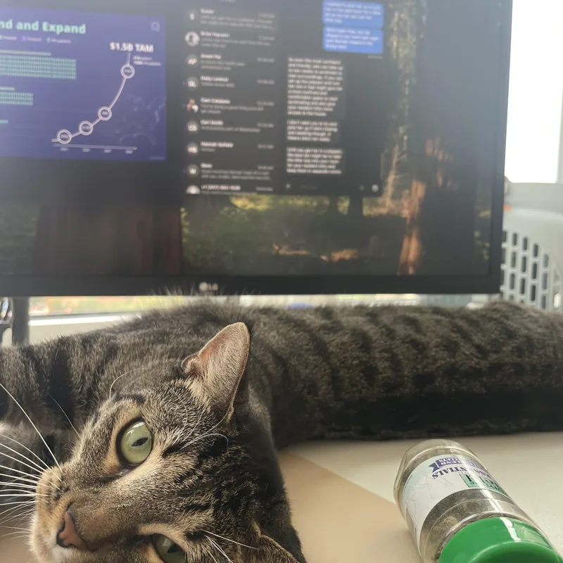 Maribel  So Much thumbnail 2