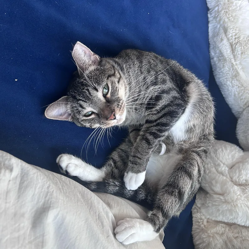 Maribel  So Much thumbnail 5