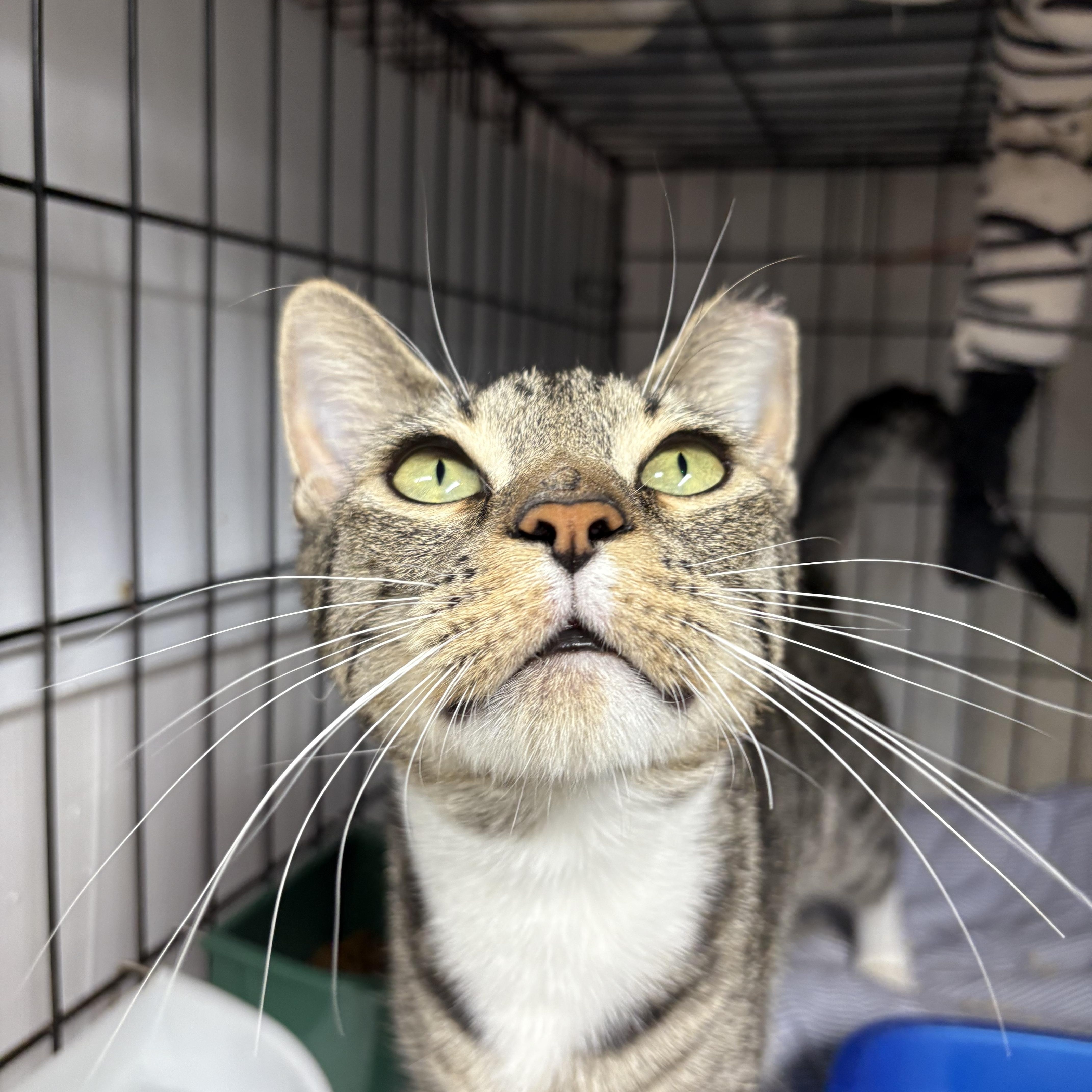 Maribel  So Much thumbnail 6