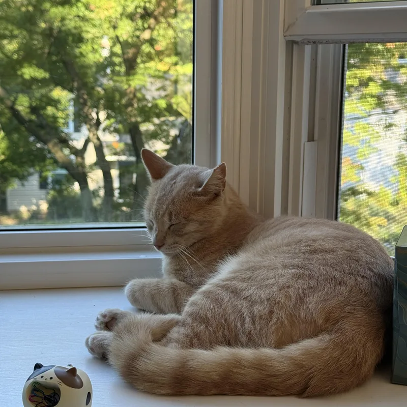 Garfield thumbnail 3