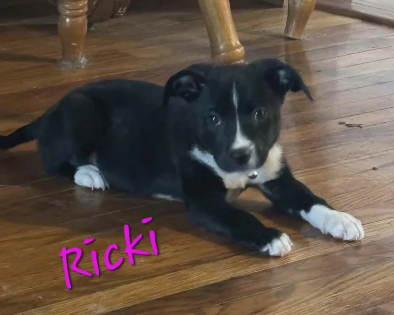 Ricki thumbnail 2