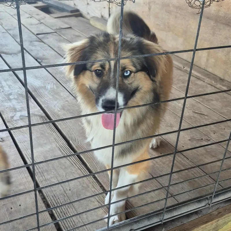Pablo