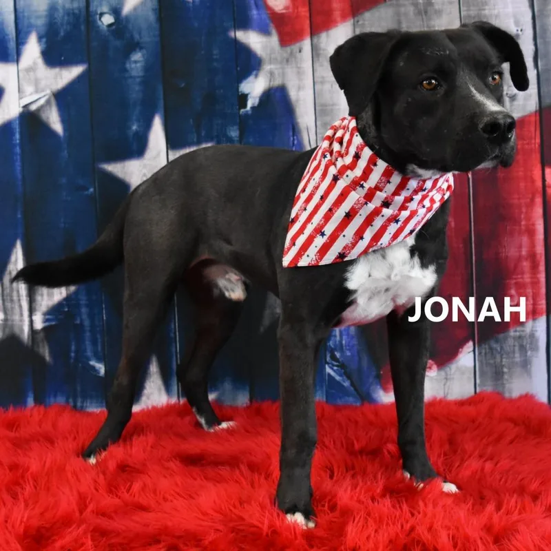 Jonah thumbnail 5