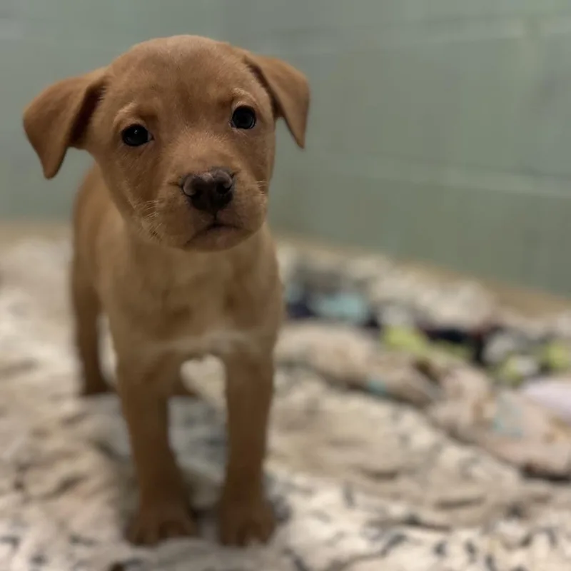 Yaco Bama thumbnail 2