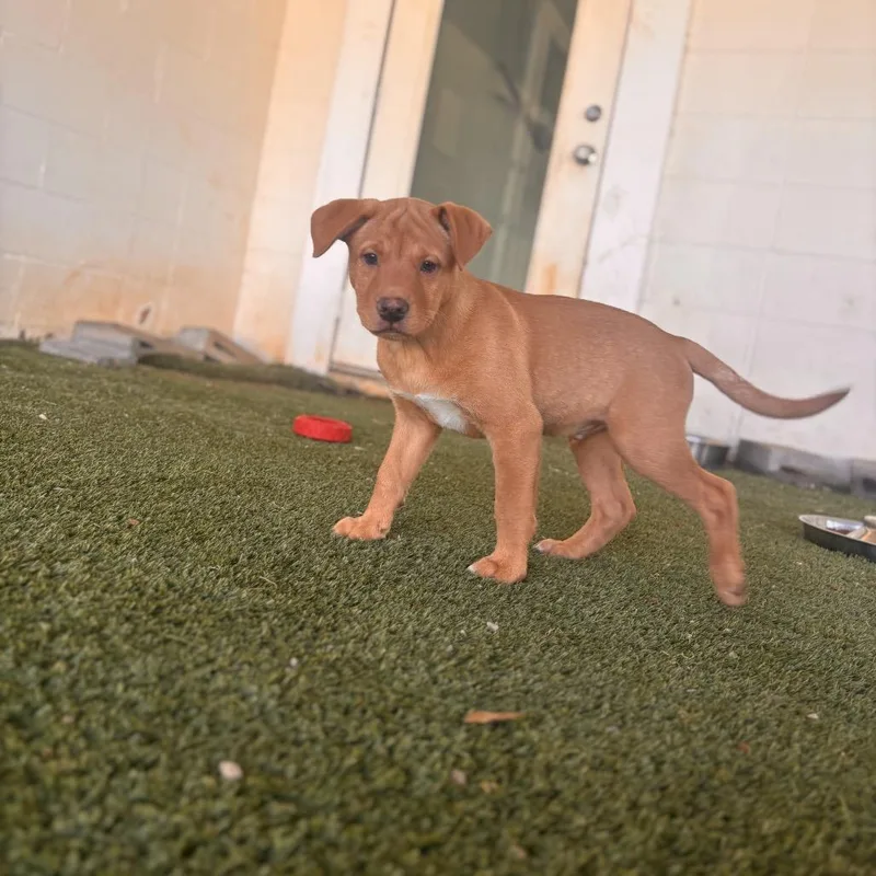 Yaco Bama thumbnail 3