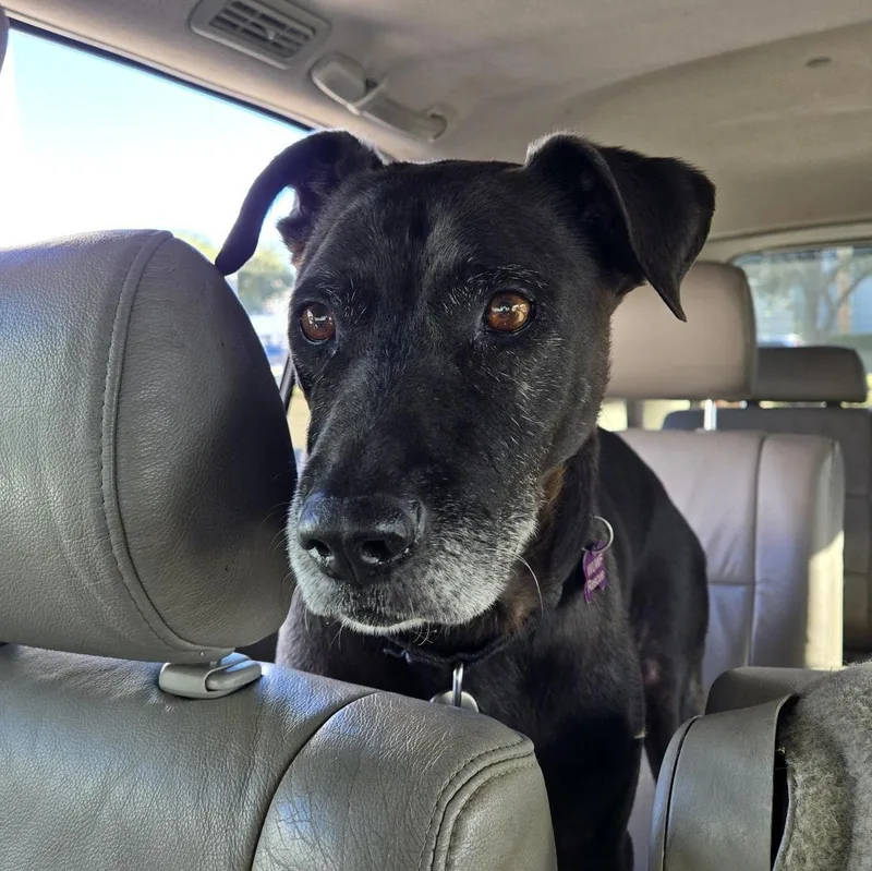 Moe