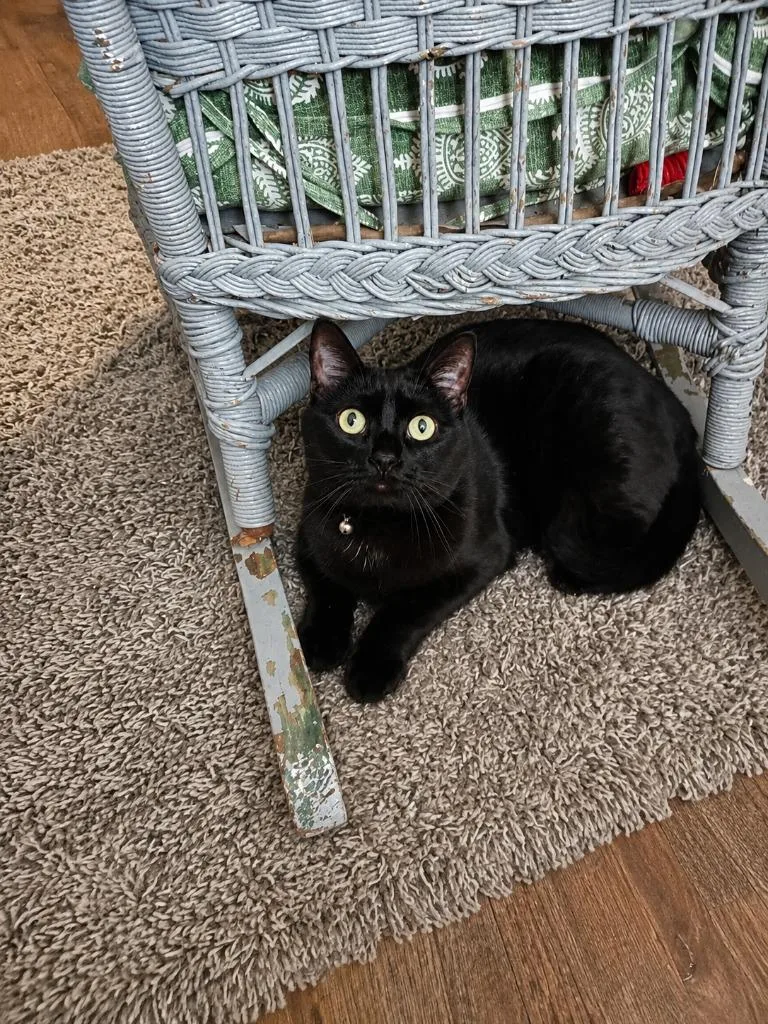 Cas