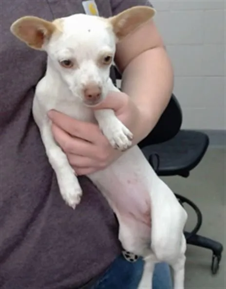 Kiki