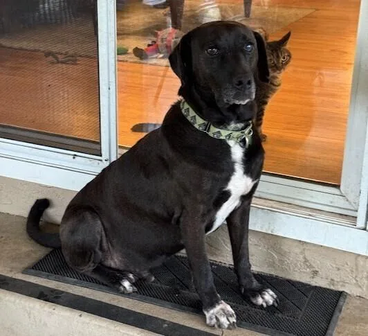 Mr.norris thumbnail 2