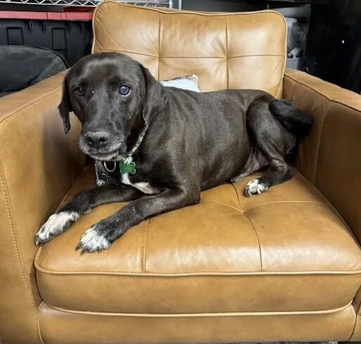 Mr.norris thumbnail 3