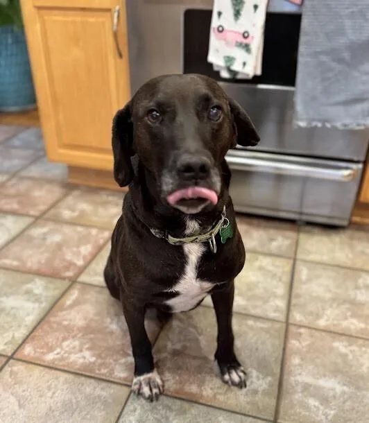 Mr.norris thumbnail 5