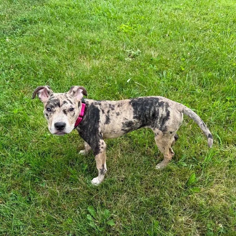 Nyla thumbnail 4