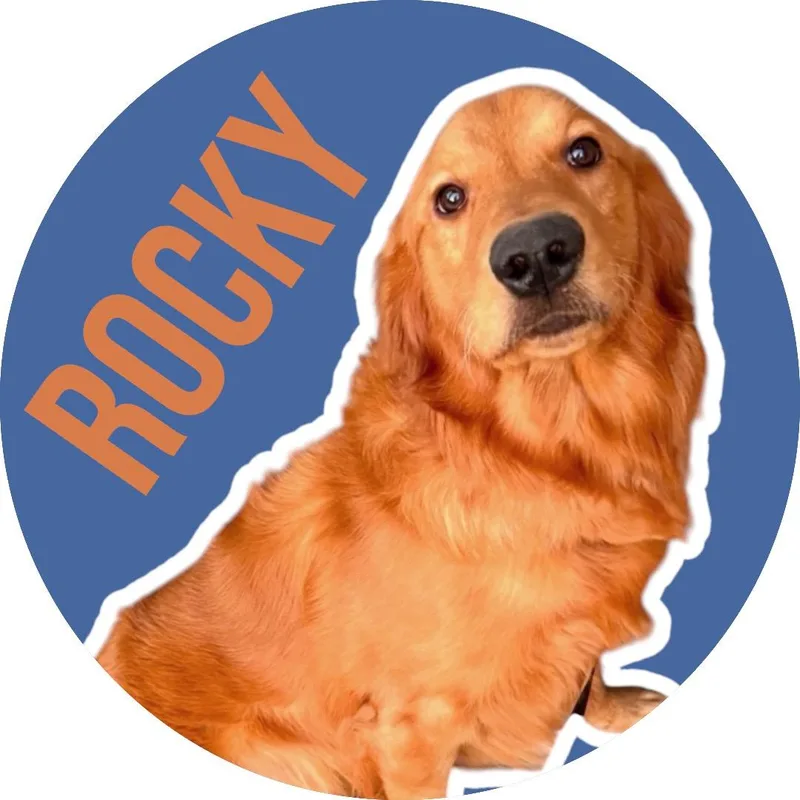 Rocky thumbnail 4