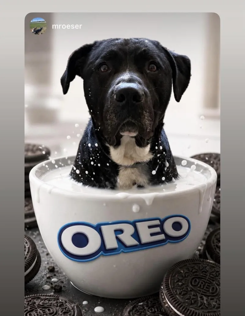 Oreo thumbnail 3